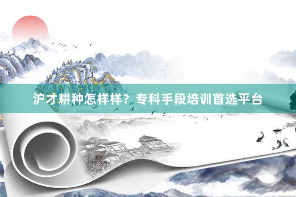 沪才耕种怎样样？专科手段培训首选平台