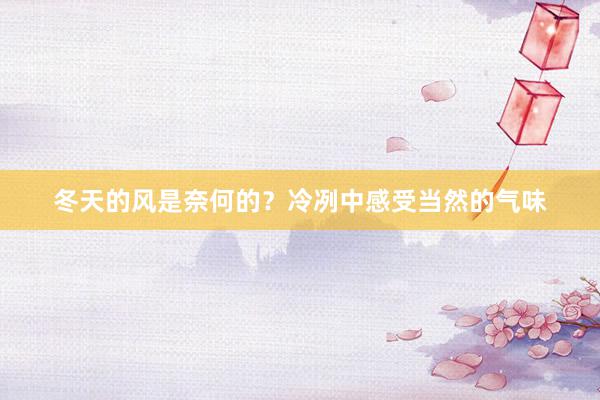冬天的风是奈何的？冷冽中感受当然的气味